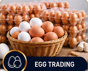 Egg trading